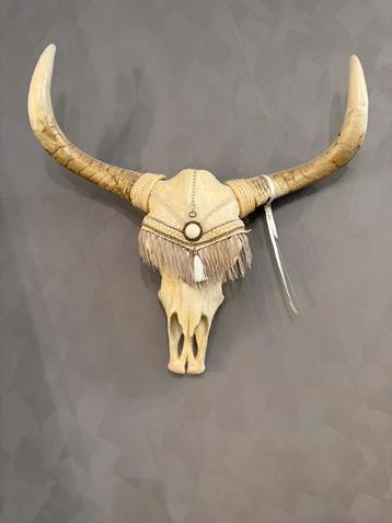 Buffel kop beschikbaar voor biedingen