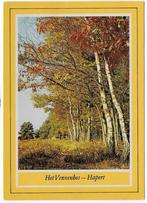 Hapert Het vennenbos Gelopen Ansichtkaart ( B6011 ), Ophalen of Verzenden, 1980 tot heden, Gelopen