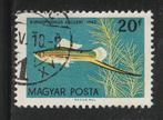 Hongarije 1962 - Vis - Groene zwaardstaart, Ophalen of Verzenden, Gestempeld