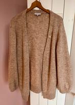 Fabienne Chapot wol alpaca vest S/M, Ophalen of Verzenden, Zo goed als nieuw, Maat 38/40 (M), Beige