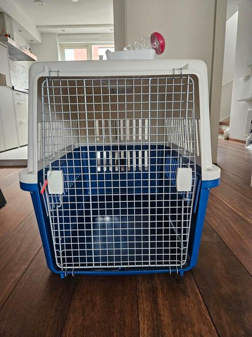Honden Trnasportbox IATA, Dieren en Toebehoren, Transportboxen, Zo goed als nieuw, Ophalen