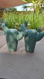 2 cactus vazen, Huis en Inrichting, Ophalen, Overige kleuren, Minder dan 50 cm, Glas