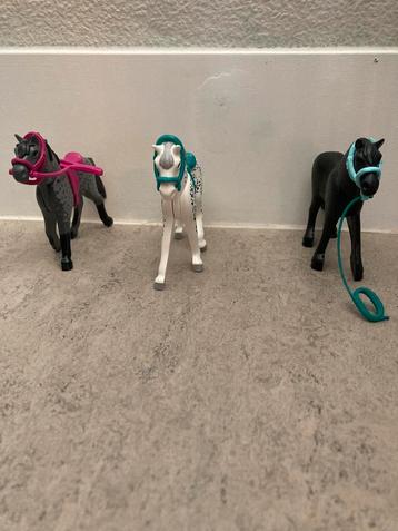 3 paarden, 3 verschillende rassen