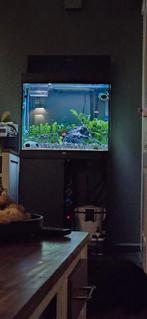 Aquarium 200 L met helialux & onderkast  juwel lido 200, Ophalen, Gebruikt, Leeg aquarium