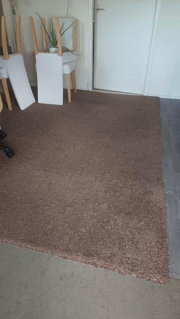 GRATIS Groot stuk tapijt – 2,25 x 2,70 m