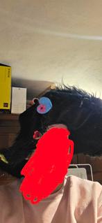 Verschillende soorten hoeden., Kleding | Dames, Hoeden en Petten, Ophalen of Verzenden, Zo goed als nieuw, One size fits all