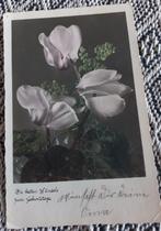 1950, Verzenden, 1940 tot 1960, Ongelopen, Sterren en Beroemdheden