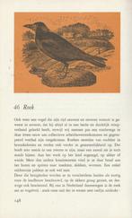ZONDAGSVOGEL - Bert Garthof, Ophalen of Verzenden, Zo goed als nieuw, Vogels