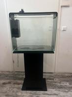 Superfish home 80 /Modern aquarium met bijpassende standaard, Dieren en Toebehoren, Vissen | Aquaria en Toebehoren, Ophalen of Verzenden