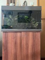 Aquarium met kast, Ophalen, Overige typen, Overige merken, Zo goed als nieuw