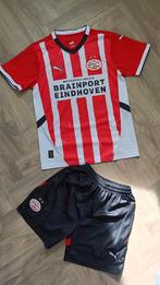 PSV thuistenue 24/25  M, Kleding | Heren, Sportkleding, Ophalen of Verzenden, Zo goed als nieuw, Rood, Voetbal