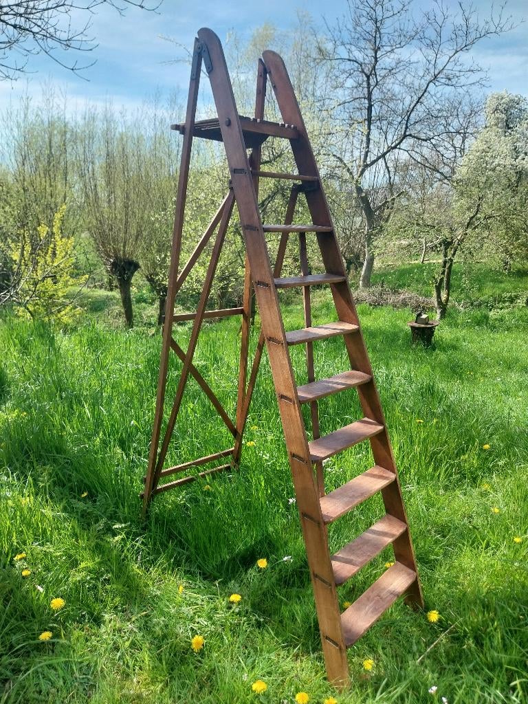 bibliotheektrap massiefhout, Ophalen