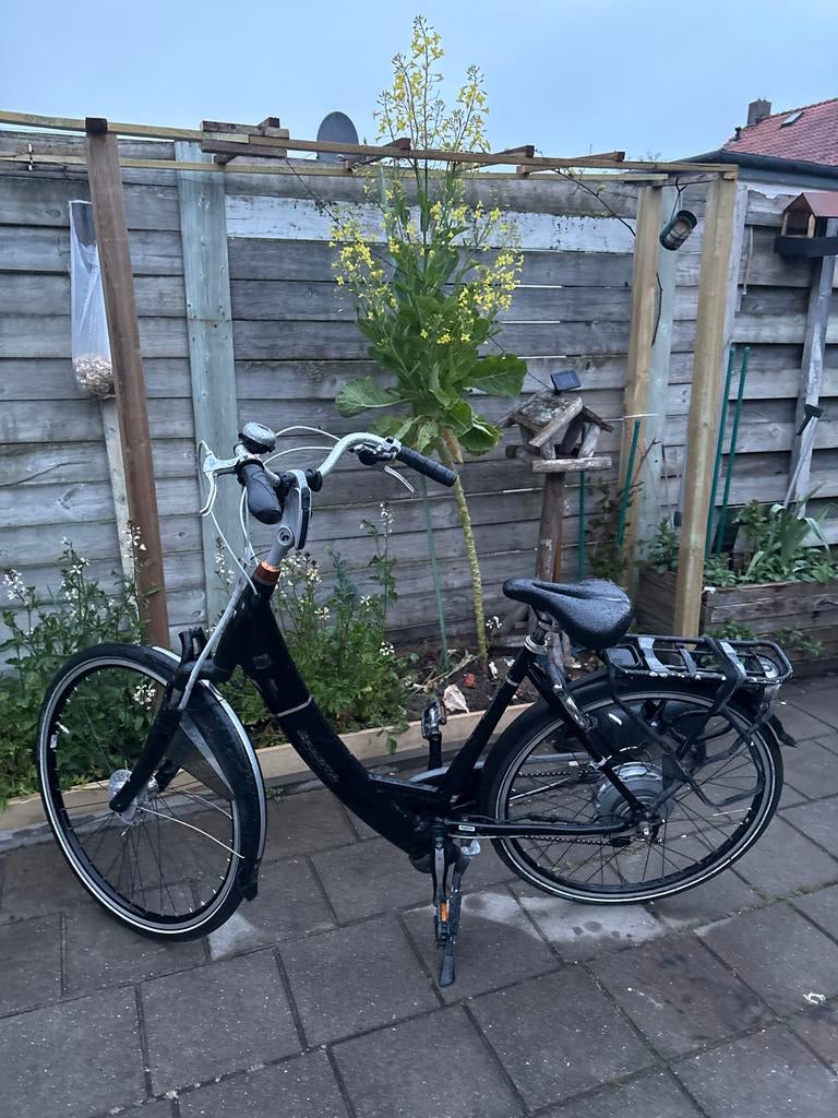 Elektrische fiets, Ophalen of Verzenden, Gebruikt, Overige merken