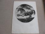 Willem Snitker. Ets 45/150. Op karton met reliëf. Gesigneerd, Ophalen of Verzenden