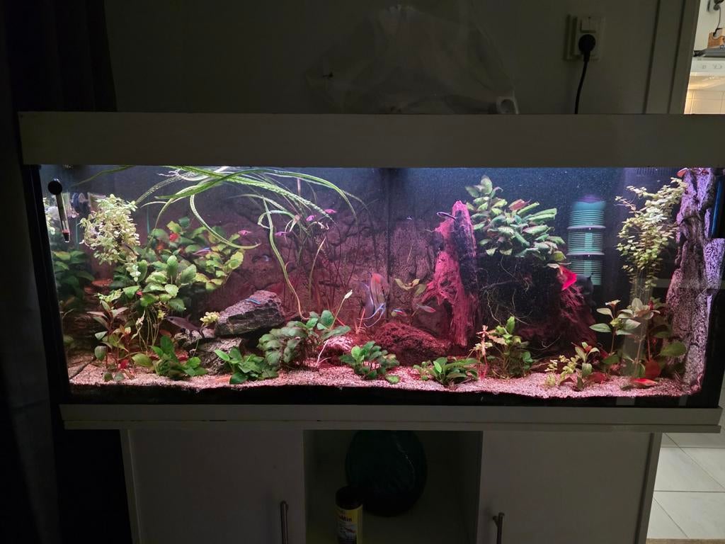 Aquarium 1.20meter, Ophalen