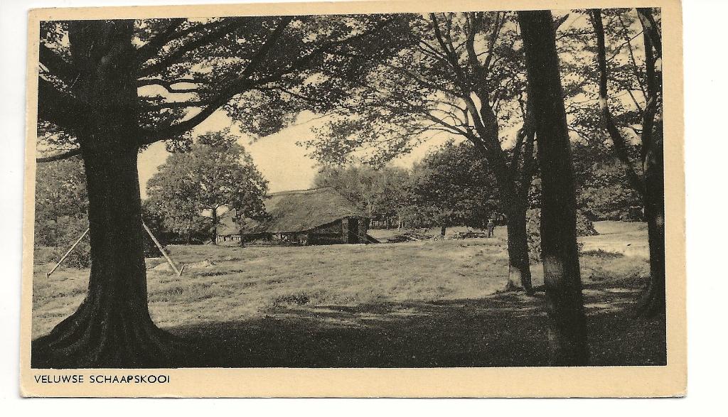 BF20-Putten,Veluwse Schaapskooi, Verzenden, 1940 tot 1960, Gelopen, Gelderland