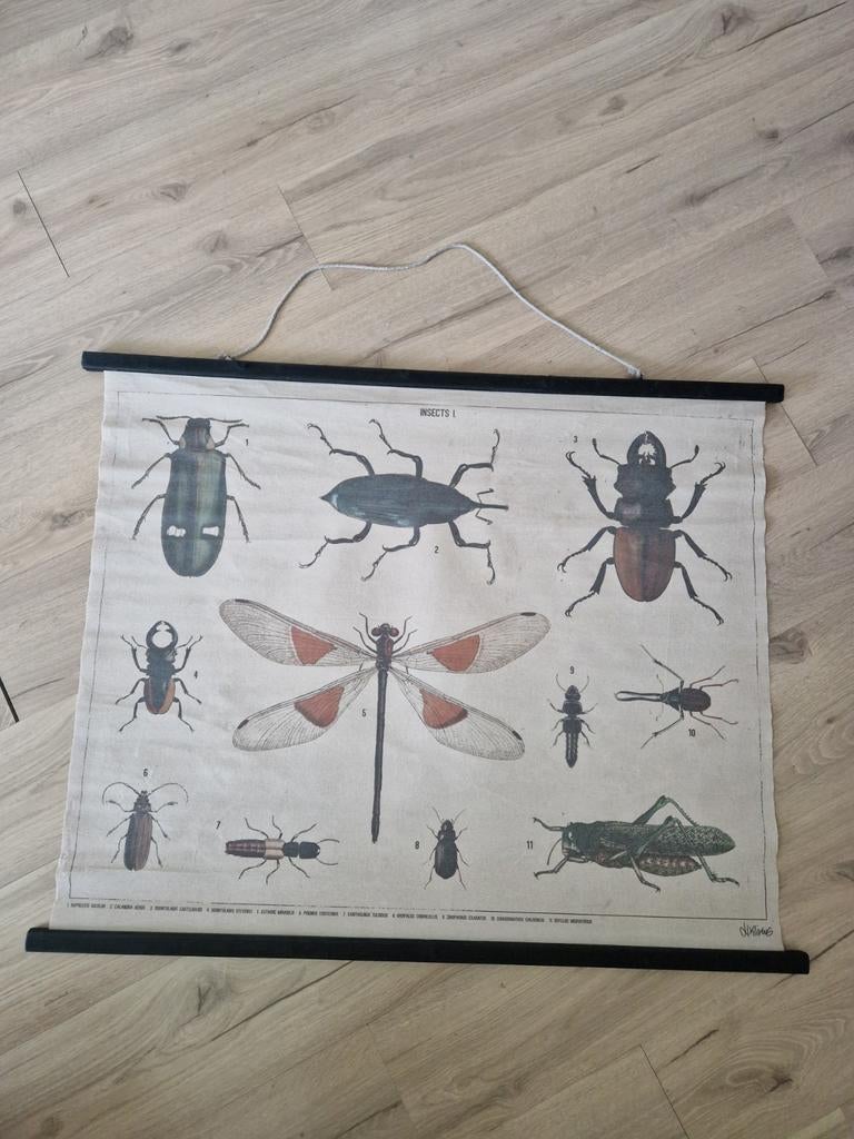 Doek HKLiving insecten, Huis en Inrichting, Woonaccessoires | Wanddecoraties, Ophalen