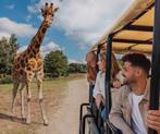 4 Tickets Safaripark Beekse Bergen ️, Drie personen of meer, Ticket of Toegangskaart