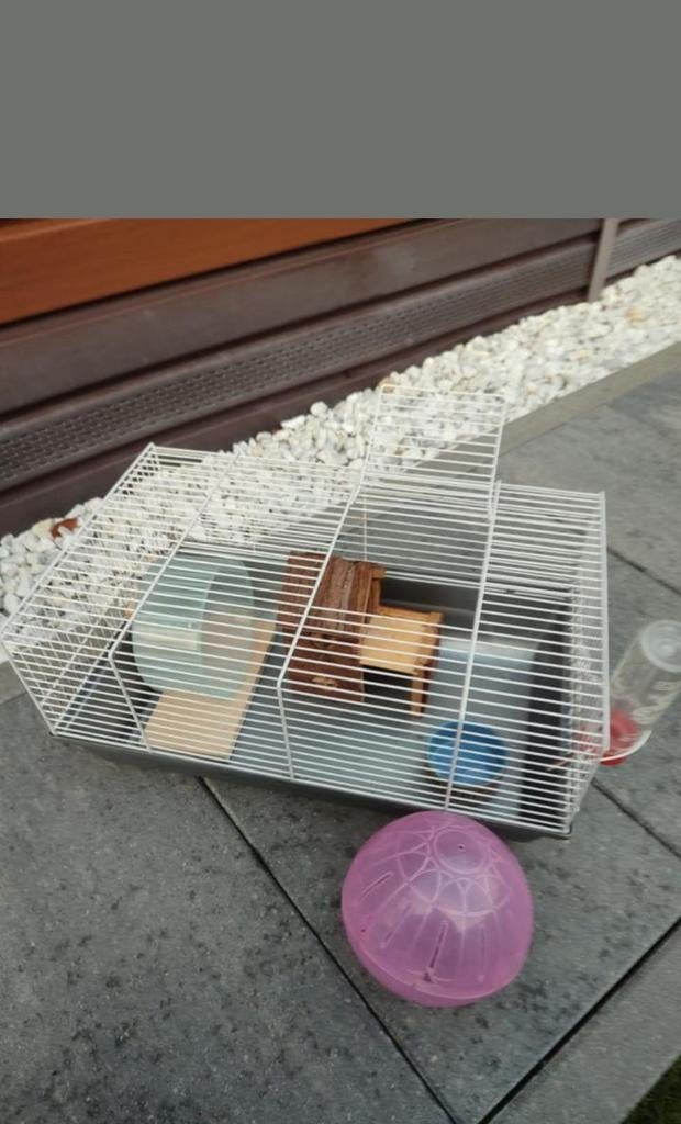 Hamsterkooi, Dieren en Toebehoren, Ophalen
