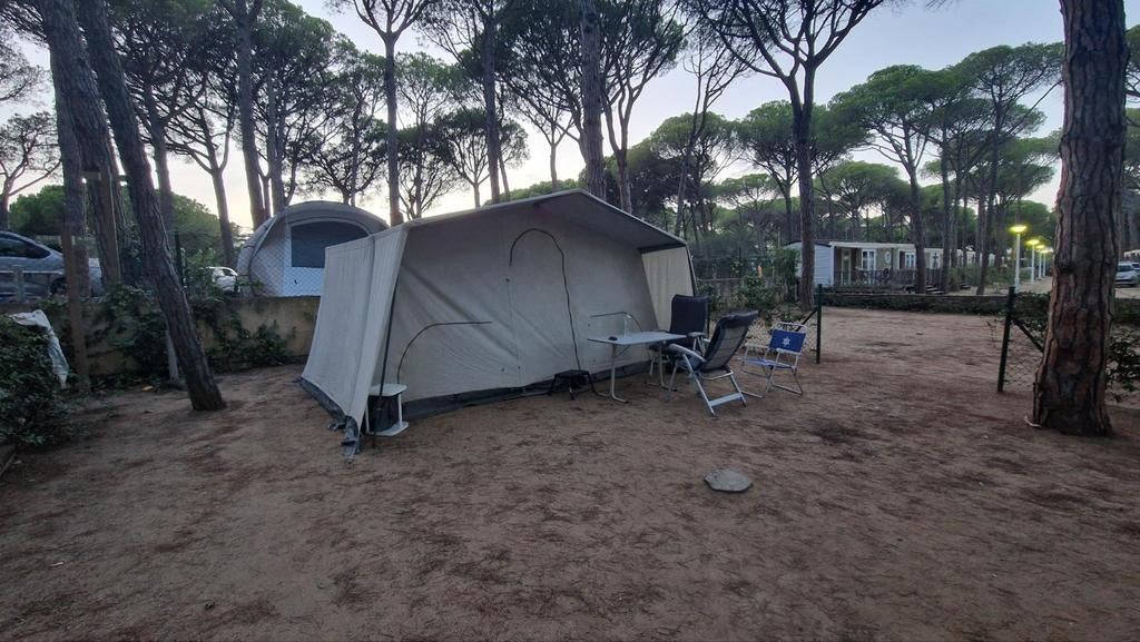 Roadmaster Family S vouwwagen te koop!, Caravans en Kamperen, Vouwwagens, Ophalen