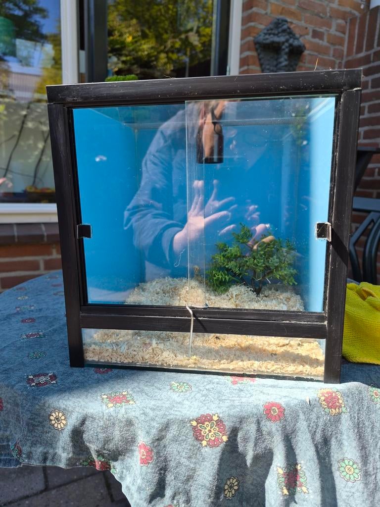 Terarium 25 x25x25 cm, Ophalen