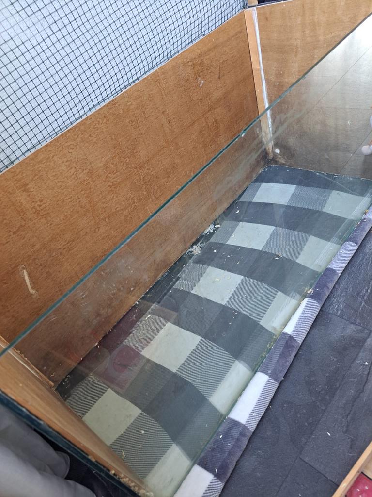 Hamster terrarium, Kooi, Gebruikt, Hamster, 75 tot 110 cm