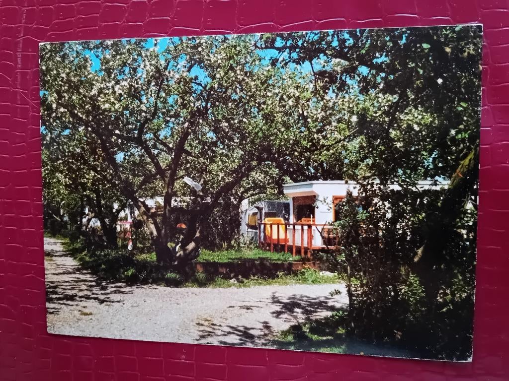 Ansichtkaart Bergambacht, Verzenden, 1960 tot 1980