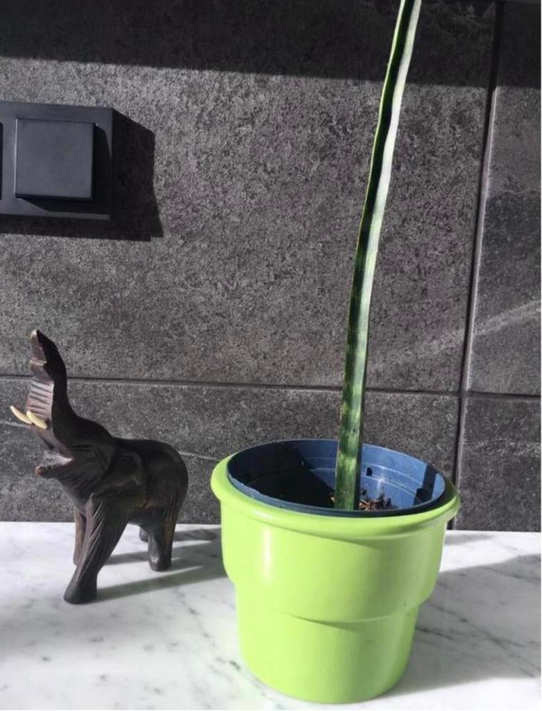 Vintage groene gele blauwe keramische bloempotten uniek, Rond, Binnen, Ophalen of Verzenden, Zo goed als nieuw