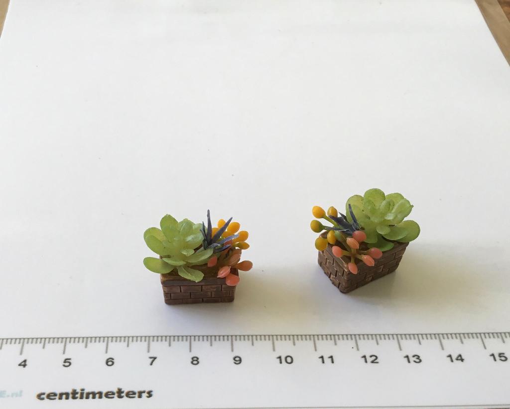 Poppenhuis miniaturen plantjes, Verzamelen, Poppenhuizen en Toebehoren, Ophalen of Verzenden, Nieuw, Poppenhuis