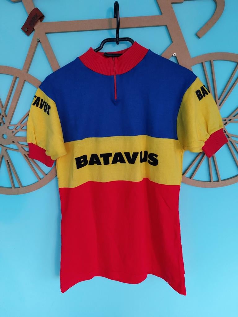 WIELERSHIRT BATAVUS kendaroy, Ophalen of Verzenden