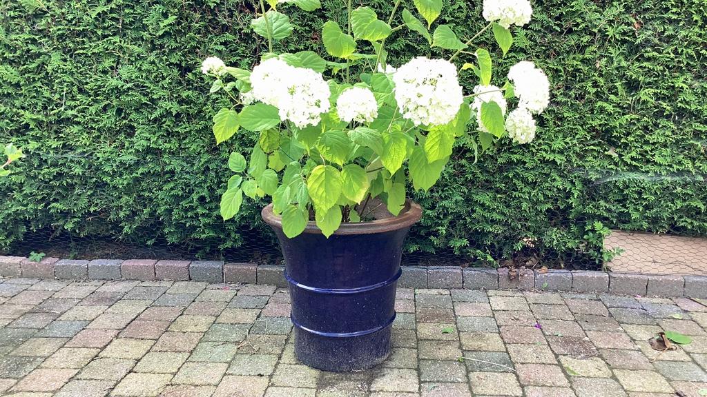 Bloempot, Tuin en Terras, Ophalen, Steen, Minder dan 30 cm, Rond