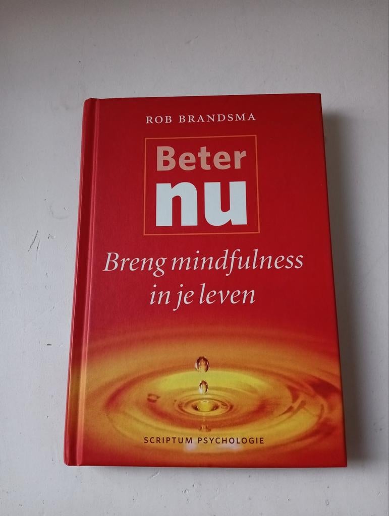 Rob Brandsma - Beter nu, Boeken, Ophalen of Verzenden, Zo goed als nieuw, Rob Brandsma