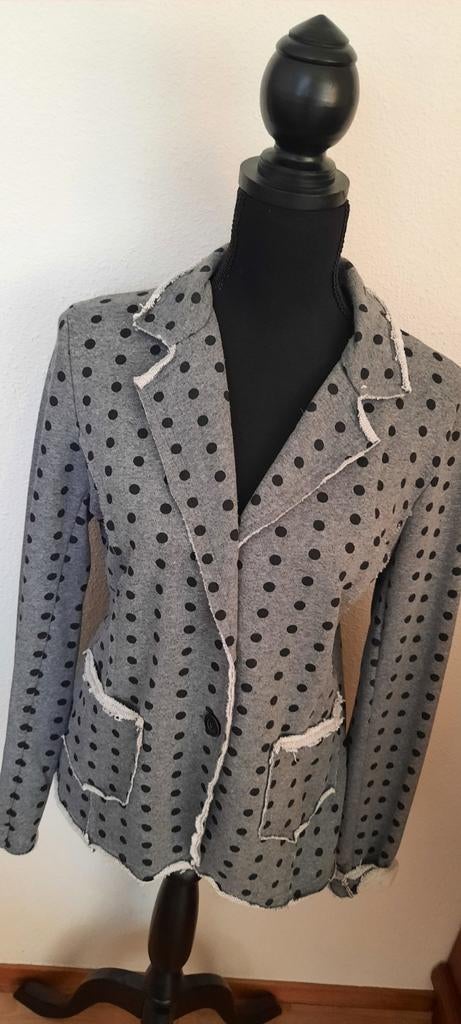 Prachtig nieuw sweat vest van ENVY, Verzenden, Nieuw, Grijs