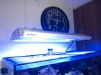 Zeeaquarium lamp. Giesemann. 90 cm, Dieren en Toebehoren, Vissen | Aquaria en Toebehoren, Ophalen, Gebruikt, Verlichting of Verwarming