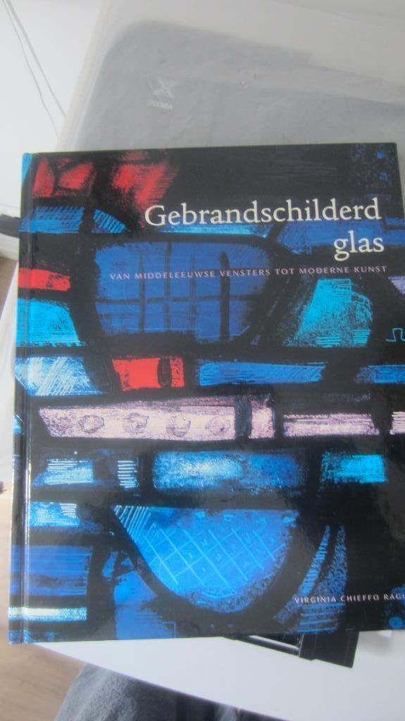 Gebrandschilderd Glas, Boeken, Kunst en Cultuur | Beeldend, Zo goed als nieuw, Schilder- en Tekenkunst, Ophalen of Verzenden