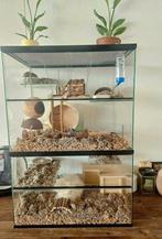 Terrarium groot, Ophalen, Hamster, 60 tot 90 cm, Zo goed als nieuw
