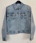 Showroom verkoop grote maten dameskleding 20% KORTING Purmer, Kleding | Dames, Grote Maten, Ophalen of Verzenden, Nieuw