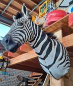 Vintage Zebra hoofd taxidermie wand decoratie, Ophalen, Gebruikt, Overige soorten, Opgezet dier