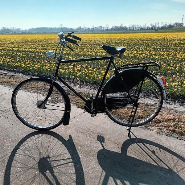 Gazelle tour populair opafiets 3 speed 66 cm  zgan, Fietsen en Brommers, Fietsen | Heren | Herenfietsen, Gebruikt, Gazelle, 65 cm of meer