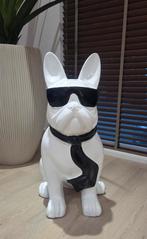 Accessoire hond, Ophalen, Kunststof