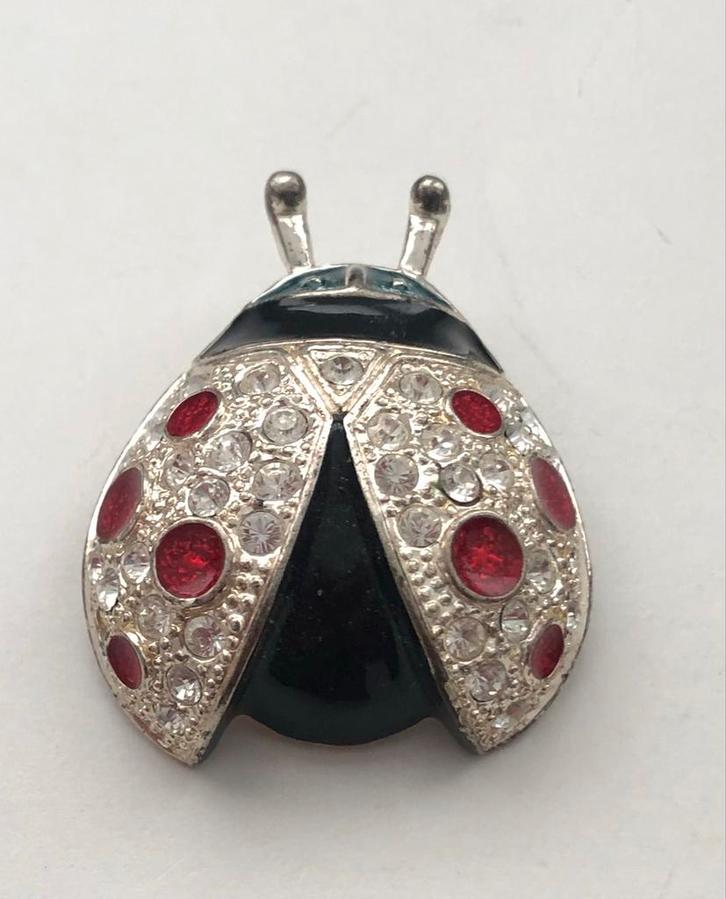 Broche lieveheersbeestje met kleurrijke strassteentjes Roman, Sieraden, Tassen en Uiterlijk, Broches, Nieuw, Overige materialen