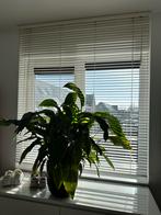 Witte jaloezie, Ophalen, Gebruikt, Wit, 100 tot 150 cm