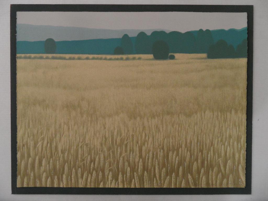 Lithografie-zeefdruk, Antiek en Kunst, Kunst | Litho's en Zeefdrukken, Ophalen