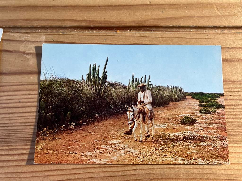 Ansichtkaart Curacao, man op ezel 1963, Ophalen of Verzenden