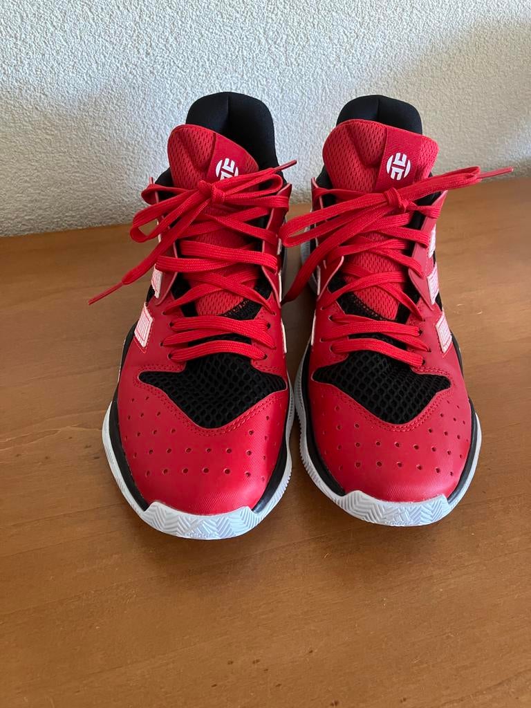 Adidas basketbalschoenen maat 44, Sport en Fitness, Basketbal, Ophalen of Verzenden, Nieuw, Schoenen