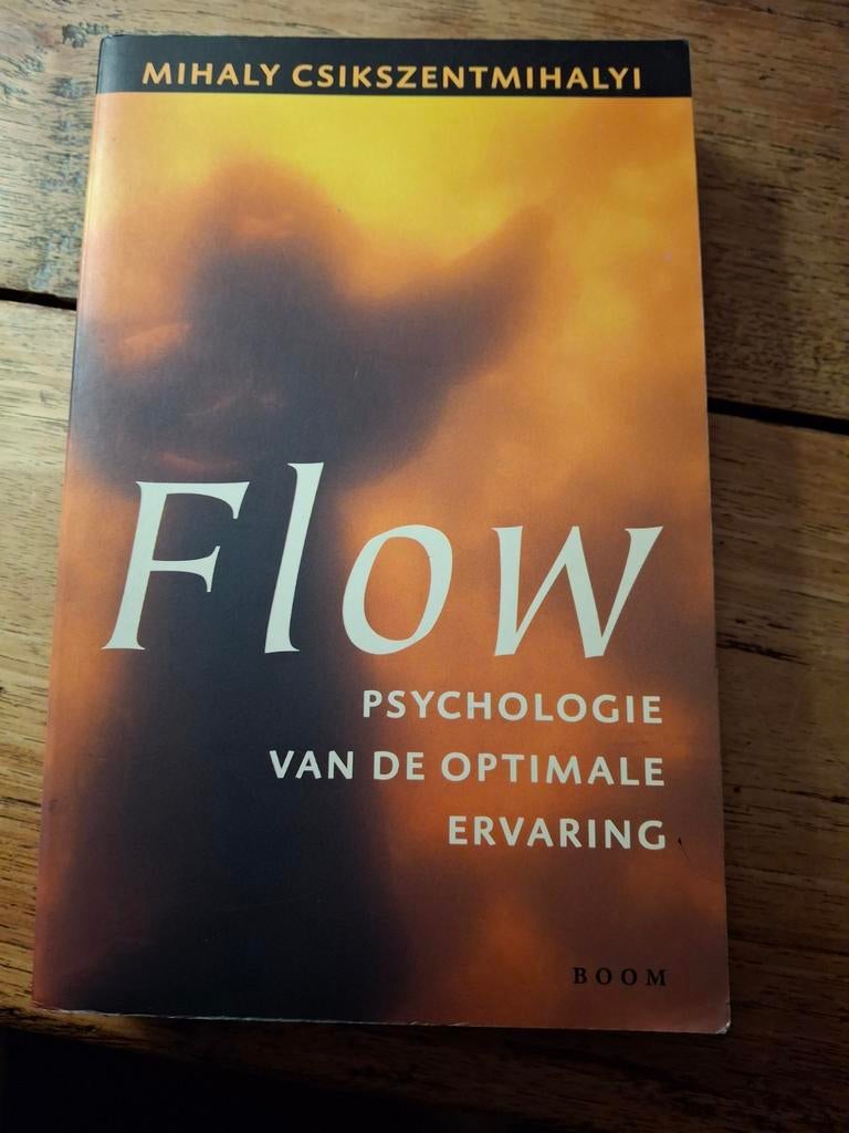 M. Csikszentmihalyi - Flow, Boeken, Gelezen, M. Csikszentmihalyi, Ophalen of Verzenden, Ontwikkelingspsychologie