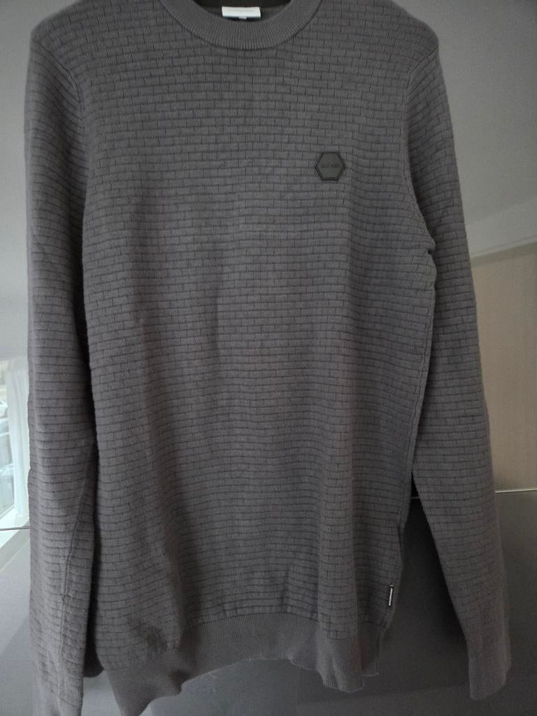 Grijze herentrui, Kleding | Heren, Truien en Vesten, Ophalen of Verzenden, Grijs