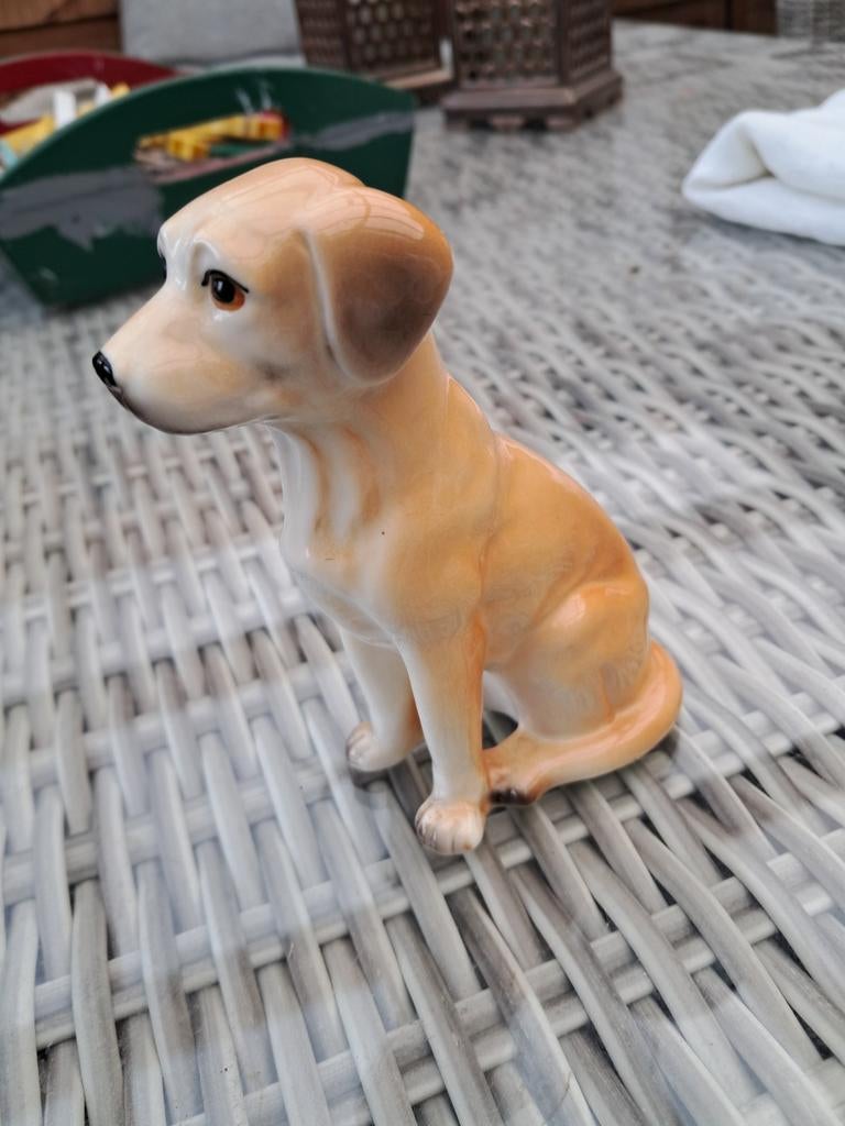 Porselijnen hond, Ophalen of Verzenden, Zo goed als nieuw, Dier