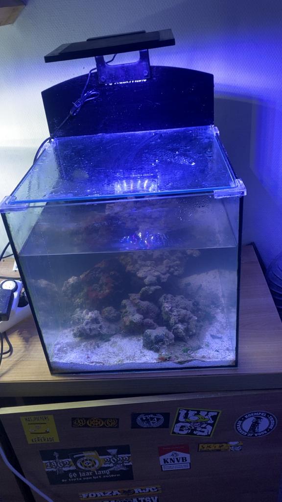 Zeeaquarium, Dieren en Toebehoren, Vissen | Aquaria en Toebehoren, Ophalen of Verzenden, Gevuld zeewateraquarium