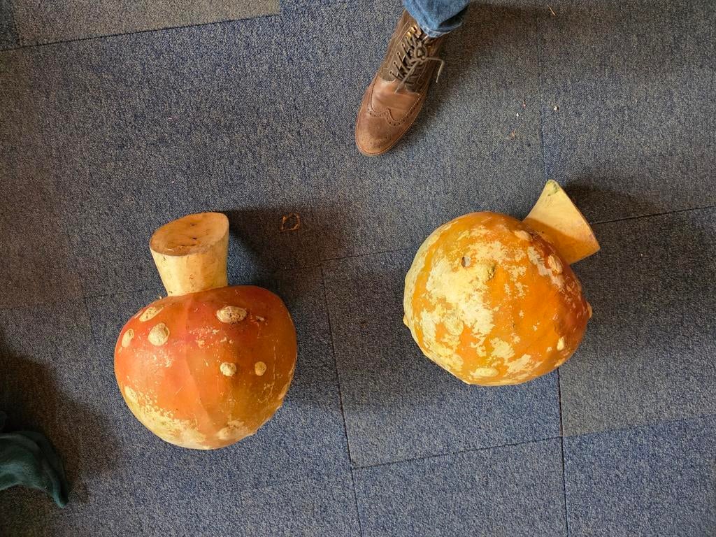 2 vintage paddenstoelen rien poortvliet efteling s, Ophalen of Verzenden, Gebruikt, Beeldje of Poppetje